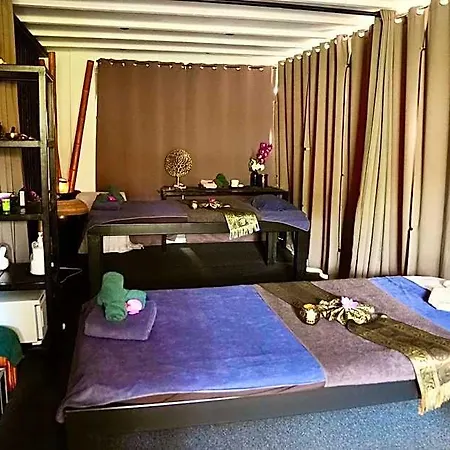 Mas La Farelle D'hote,fitness & Salle De Jeux Gratuite & En Supplement 4* Nimes